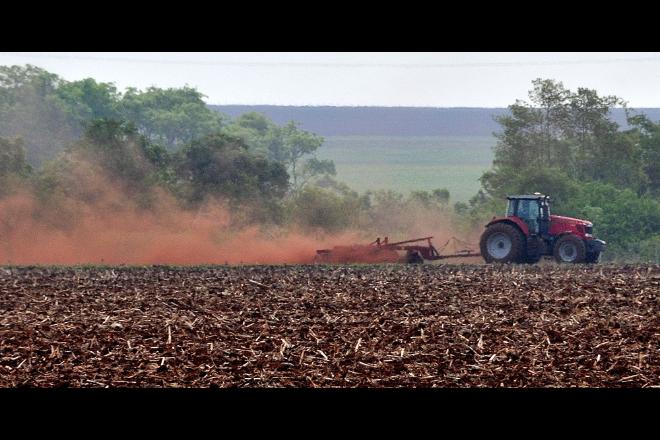 Valdenir Rezende/Correio do Estado