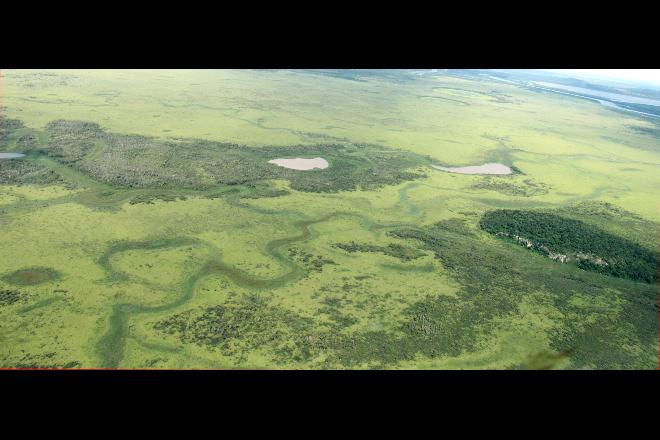 SECA. Imagem mostra área do Pantanal de Corumbá que deveria estar alagada nesta época do ano com poucos pontos de rio - Foto: Silvio Andrade